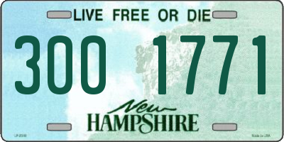 NH license plate 3001771