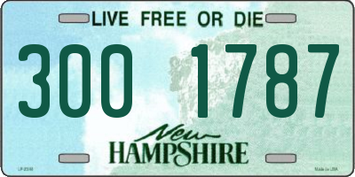NH license plate 3001787