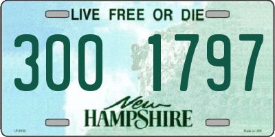 NH license plate 3001797