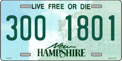 NH license plate 3001801