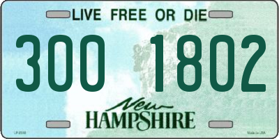 NH license plate 3001802