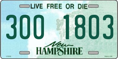 NH license plate 3001803