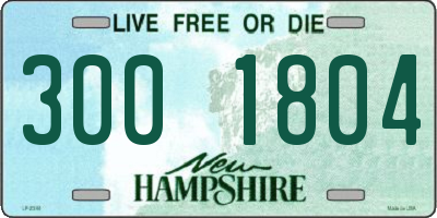 NH license plate 3001804