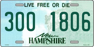 NH license plate 3001806