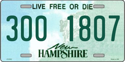 NH license plate 3001807