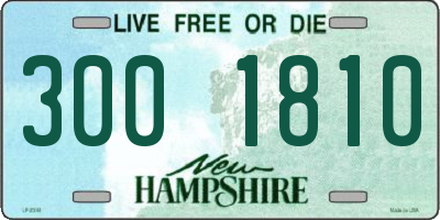 NH license plate 3001810