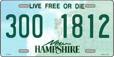 NH license plate 3001812