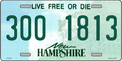 NH license plate 3001813
