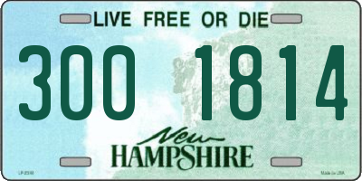 NH license plate 3001814