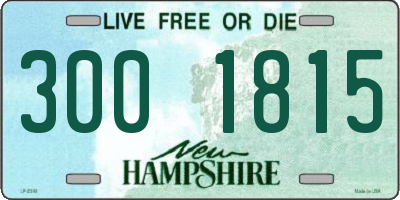 NH license plate 3001815