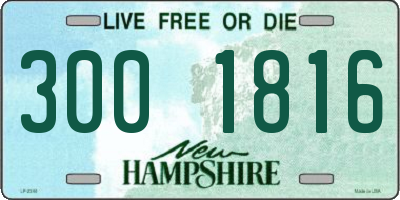 NH license plate 3001816