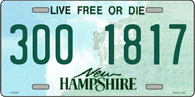 NH license plate 3001817