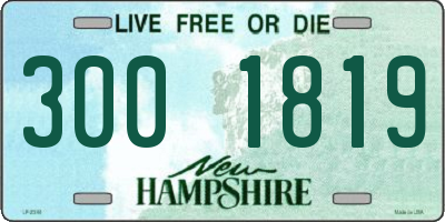 NH license plate 3001819