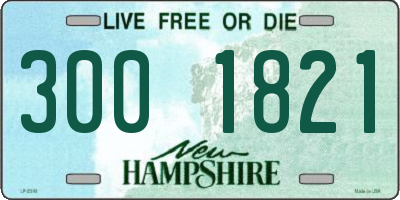 NH license plate 3001821