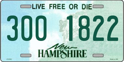 NH license plate 3001822