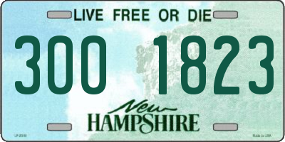 NH license plate 3001823