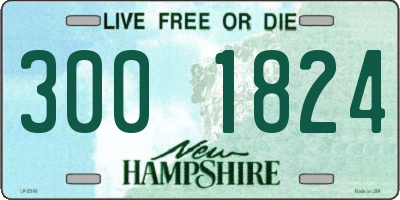 NH license plate 3001824