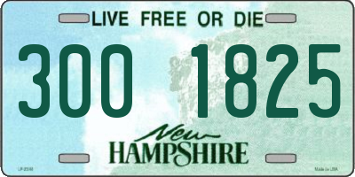 NH license plate 3001825