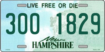 NH license plate 3001829