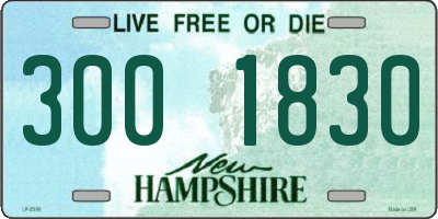 NH license plate 3001830