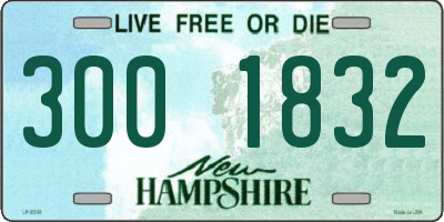 NH license plate 3001832