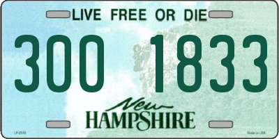 NH license plate 3001833