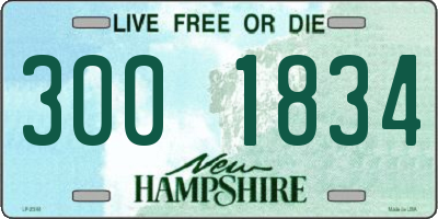 NH license plate 3001834