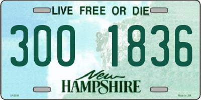 NH license plate 3001836