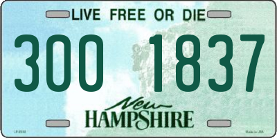NH license plate 3001837