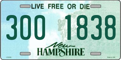 NH license plate 3001838
