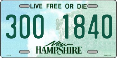 NH license plate 3001840