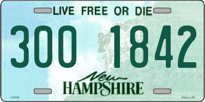 NH license plate 3001842