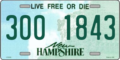 NH license plate 3001843