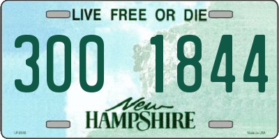 NH license plate 3001844