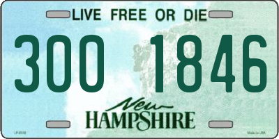 NH license plate 3001846