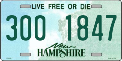 NH license plate 3001847
