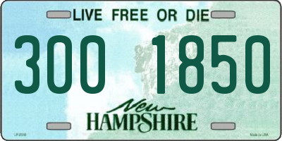 NH license plate 3001850
