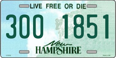 NH license plate 3001851