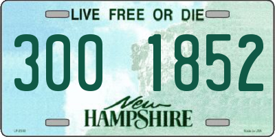 NH license plate 3001852