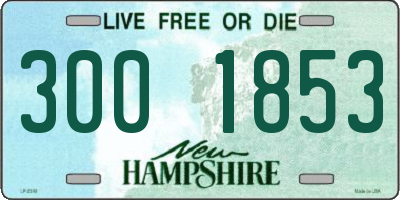 NH license plate 3001853