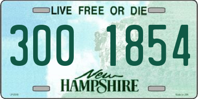 NH license plate 3001854