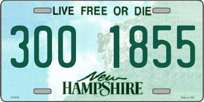 NH license plate 3001855