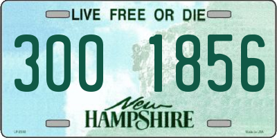 NH license plate 3001856