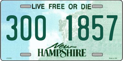 NH license plate 3001857