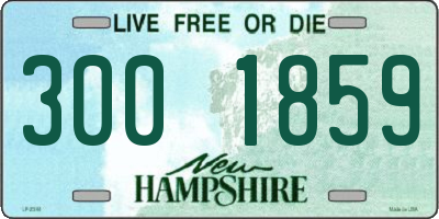 NH license plate 3001859