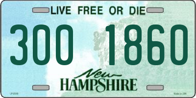 NH license plate 3001860