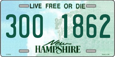 NH license plate 3001862