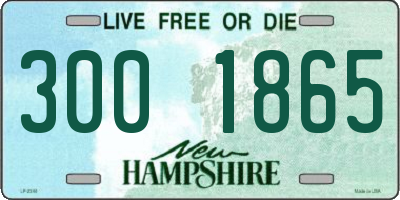 NH license plate 3001865