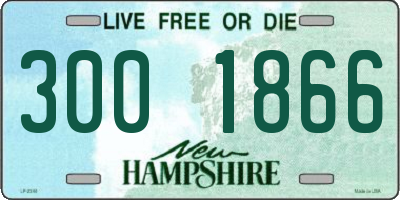 NH license plate 3001866