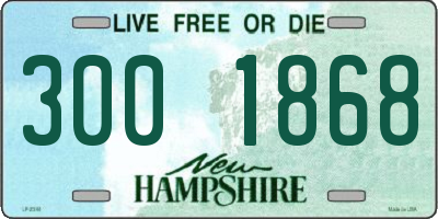 NH license plate 3001868